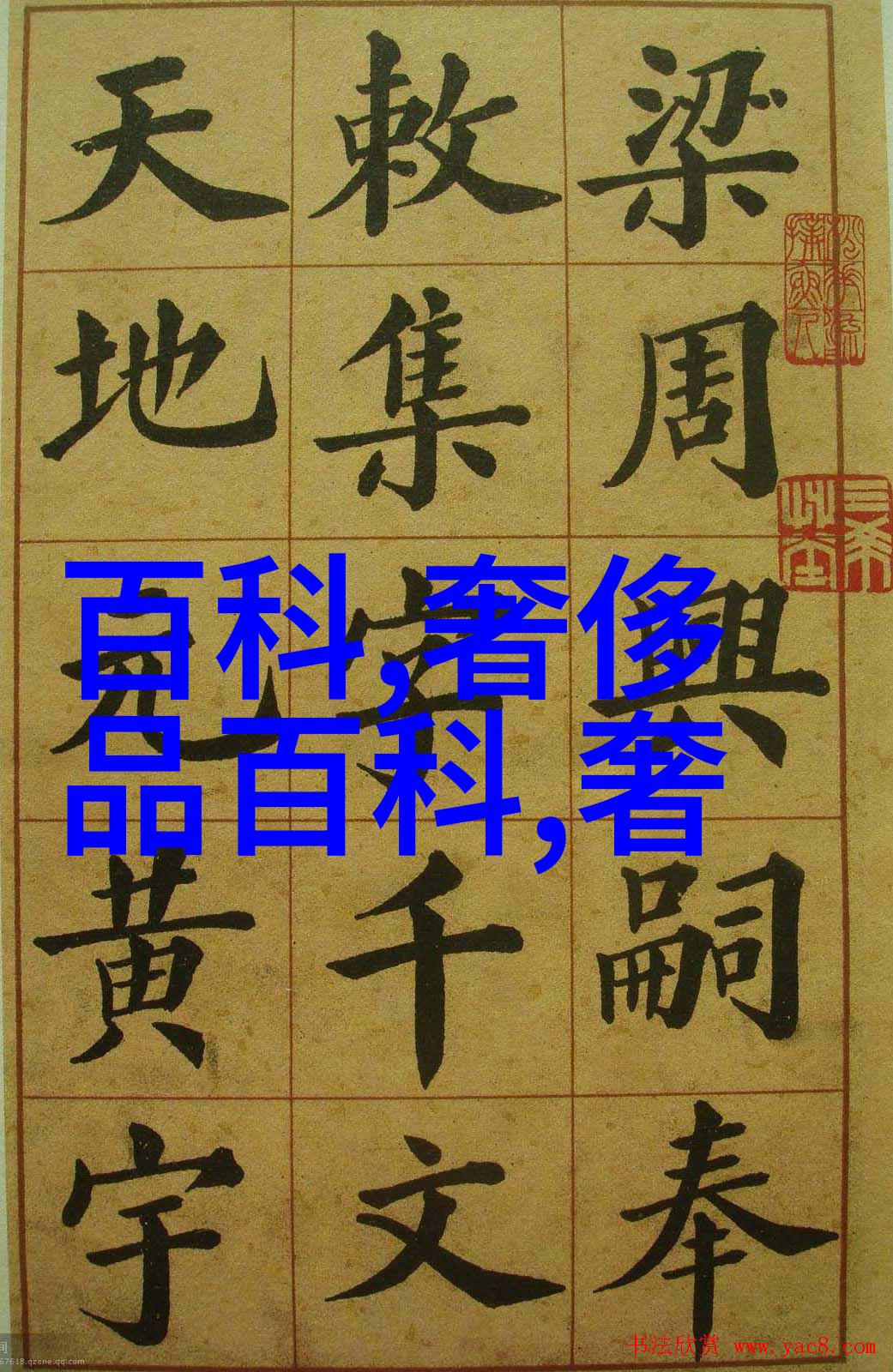 最近才发现厨房里的五个省力工具好用又安全做个懒女人