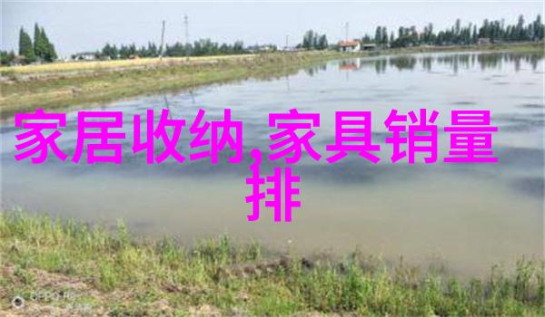 时光少年回忆与梦想的交响曲