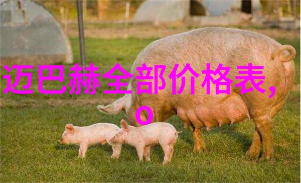 新手如何快速掌握使用男士衣服搭配软件app技巧