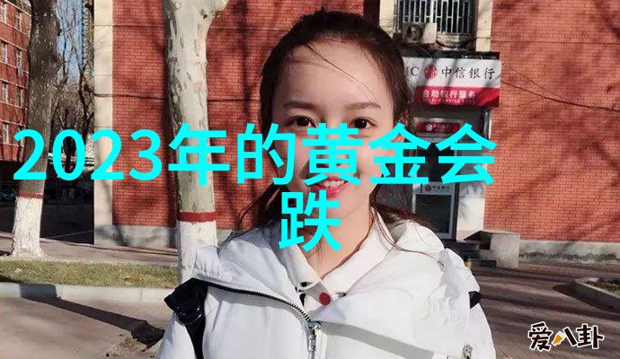 清穿之皇贵妃晋升记我的宫廷奇遇