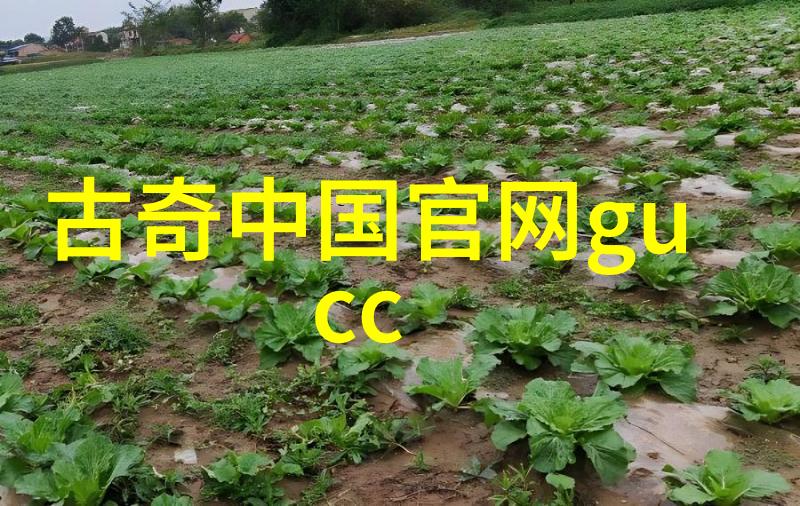 男士怎么搭配衣服街头学霸的时尚秘诀我是如何学会穿出个性风格的
