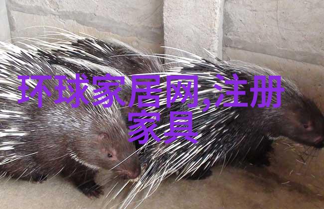 放弃与重回我曾试过的告别