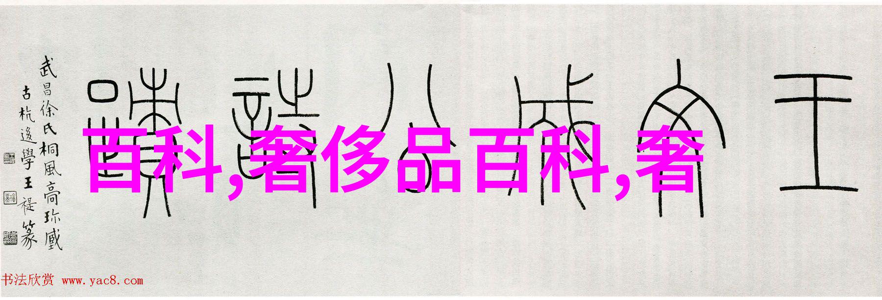 数字的守护者1111背后的文化与意义