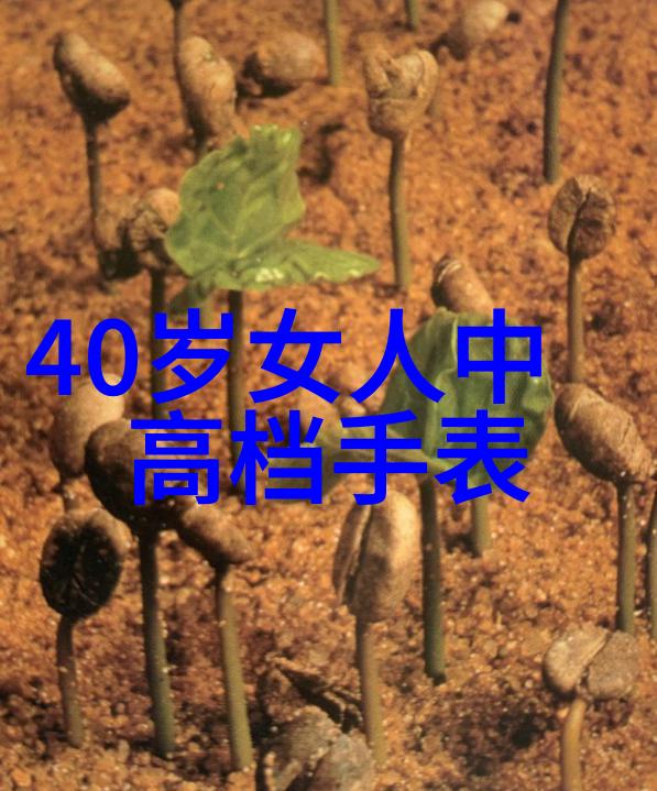 巴宝莉香水果味还是海洋味哪种是你最爱的