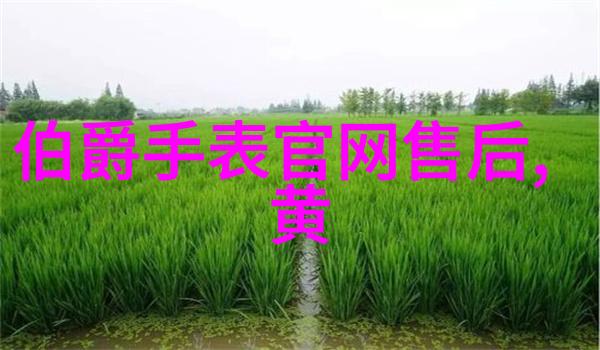 舞娘背后的故事张宇独家访谈