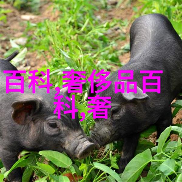 秀发保养小技巧无痕抽剪的正确方法
