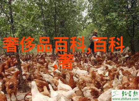 时尚模特秀-辉煌走道探索时下最火的五大流行趋势