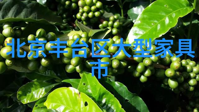 亚洲成品网站源码公司中国科技创新新篇章