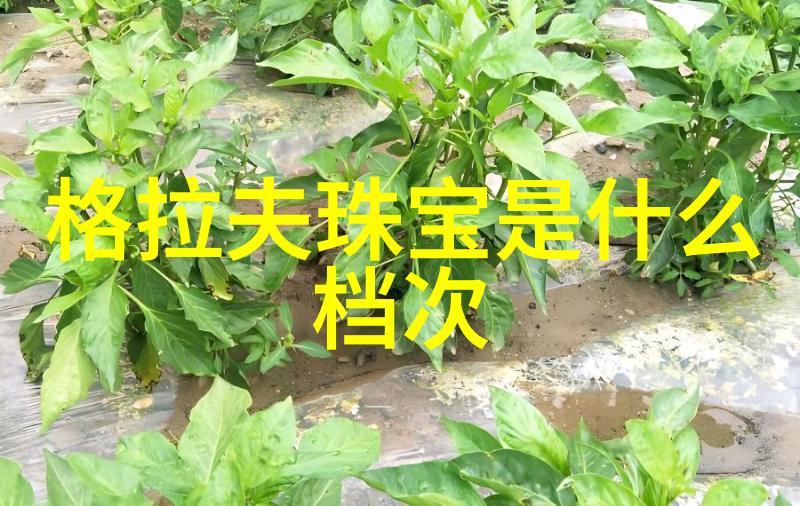 柑橘与海洋时光之交辉Kenzo香水选择之难题