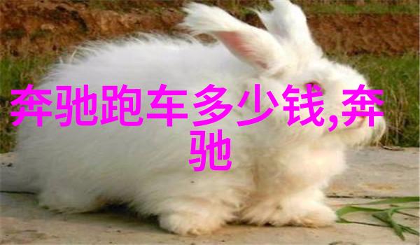 2022年理发店装修风格我是怎么让我的理发店变得时尚又舒适的