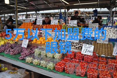 江山如此多枭下载我手中的江山那些被遗忘的下载故事