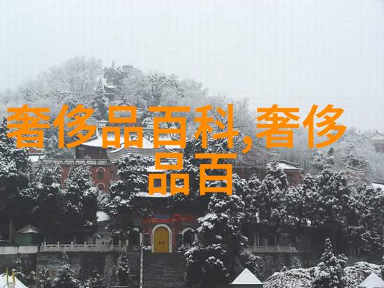 冬季男生时尚指南冰雪中的热血少年
