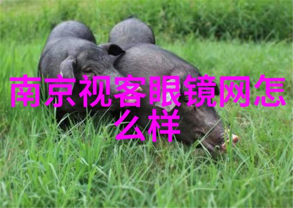 劳力士女表2022最新价目表与斯沃琪联合发布POP系列艺术与时尚交响篇章