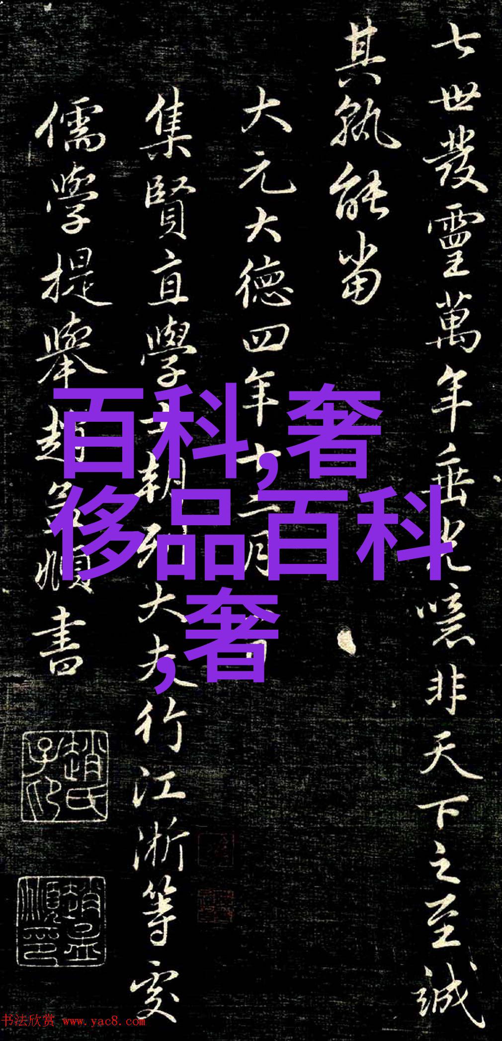 美发初学者基础教程从入门到精通的必备指南