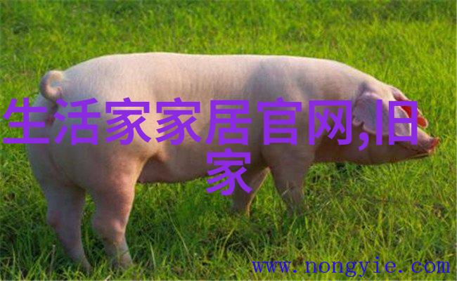 4HUPU115-密码解锁揭秘4HUPU115背后的数字世界