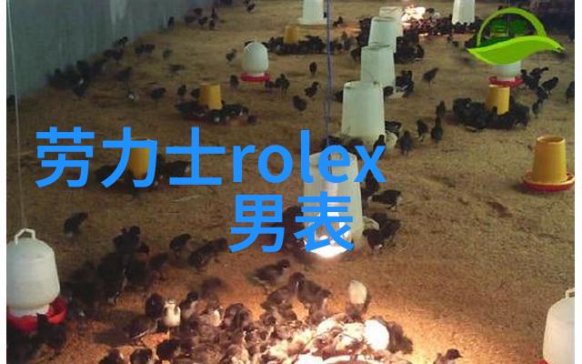 淑蓉再次访卫老止痒温暖的药方与亲切的关怀