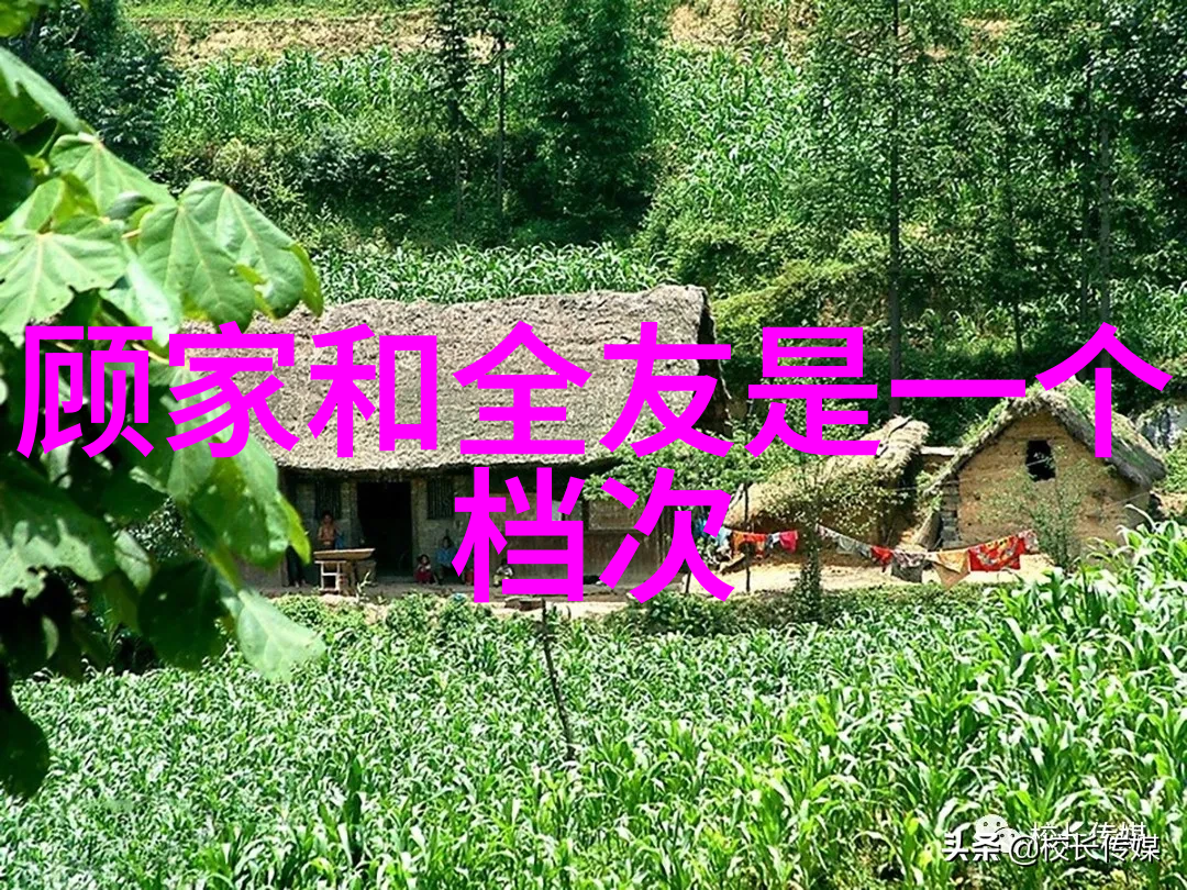 发型之美剪发的艺术初步
