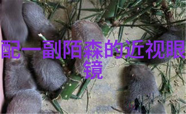 芯团网我是如何在芯片交易中赚翻了身的