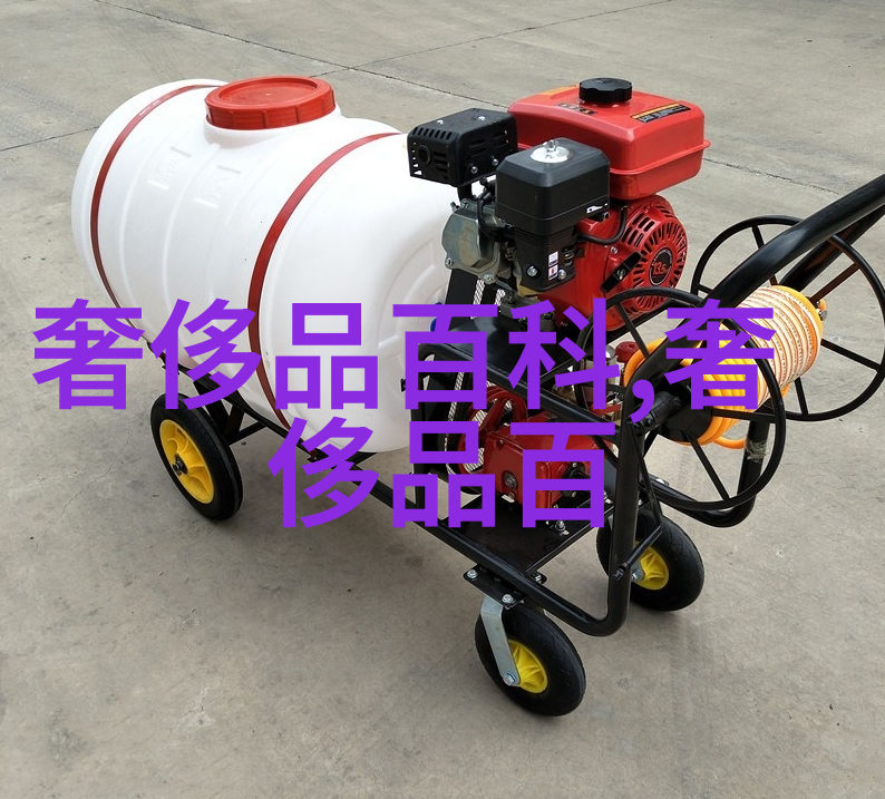 财经生活-350美元的旅行秘诀如何在预算内享受假期
