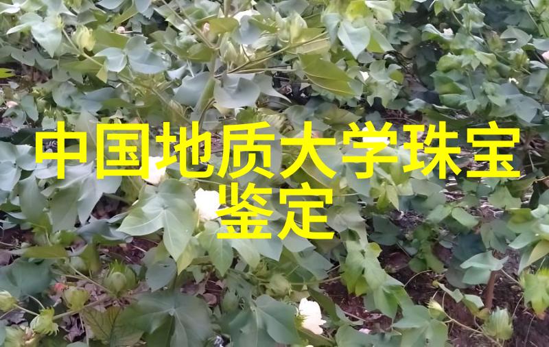 电影-女扮男装跨性别影视之美