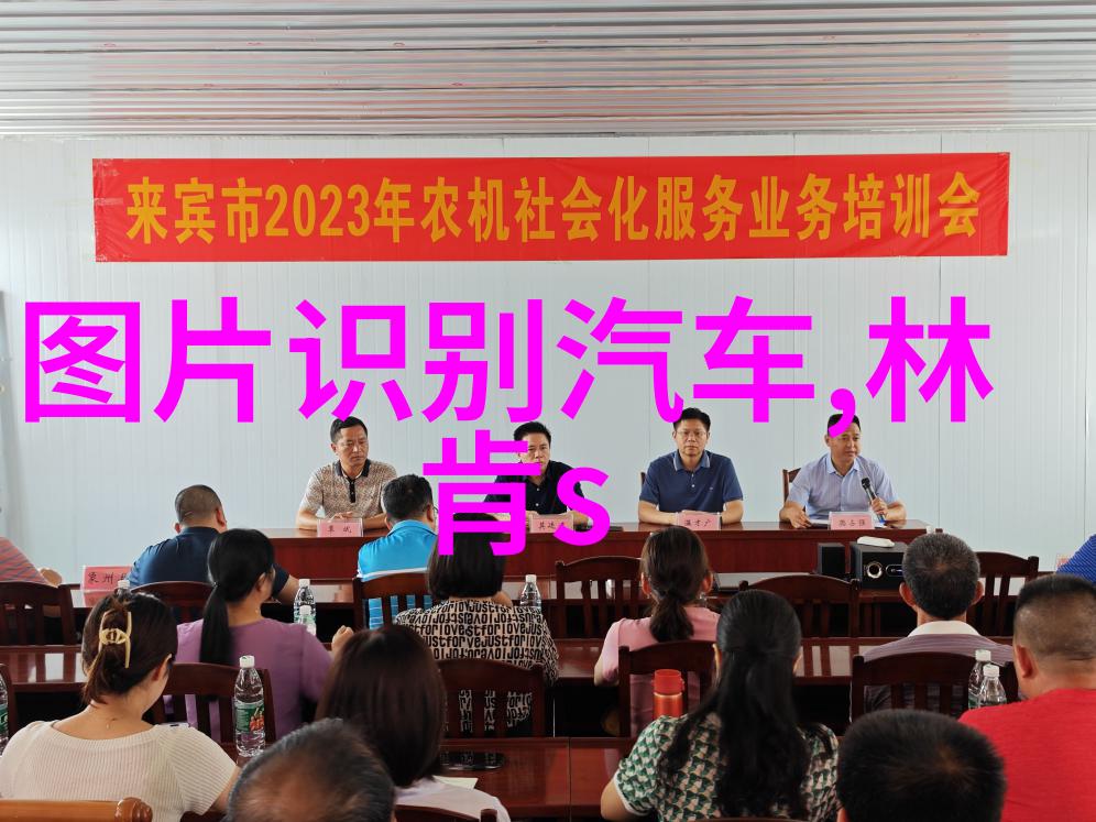 烫染师必学的12个点专业技艺提升指南