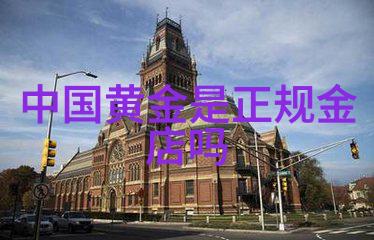 瑜伽教练3 - 灵活身体宁静心灵瑜伽教练的艺术之旅