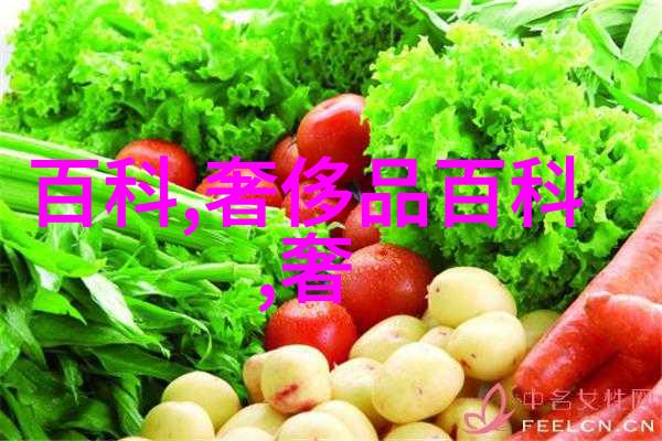颠覆的旅程在公交车上被撞得一前一后的意外日记
