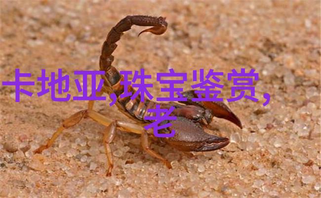 微信新规启航3月1日起隐秘的连接将如何重塑你的社交世界