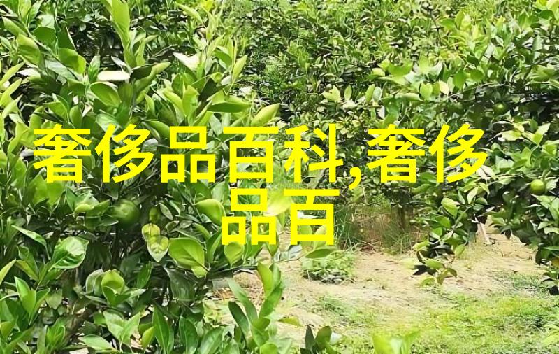 天龙八部小说全文下载古典武侠小说经典之作