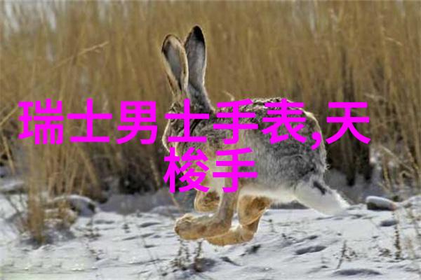 全国最大装修网站排名 - 家居美学揭秘最受欢迎的装修平台