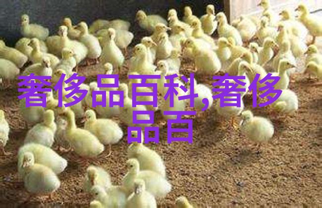 幻想纹章寻觅心语
