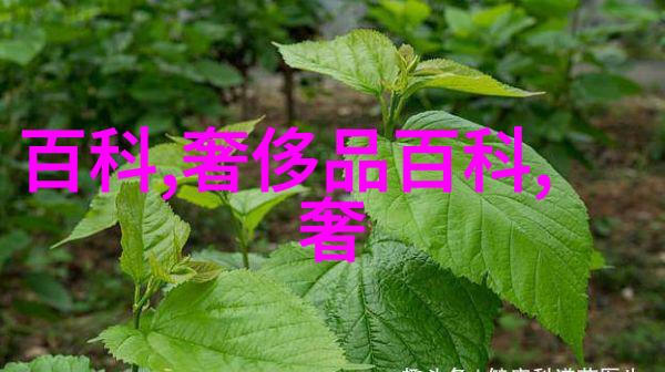 三根一起会坏掉的好痛视频-电线剥线管子爆裂揭秘那些不为人知的隐患