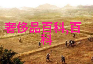 我的香水探秘揭秘那些法国香水背后的浪漫故事