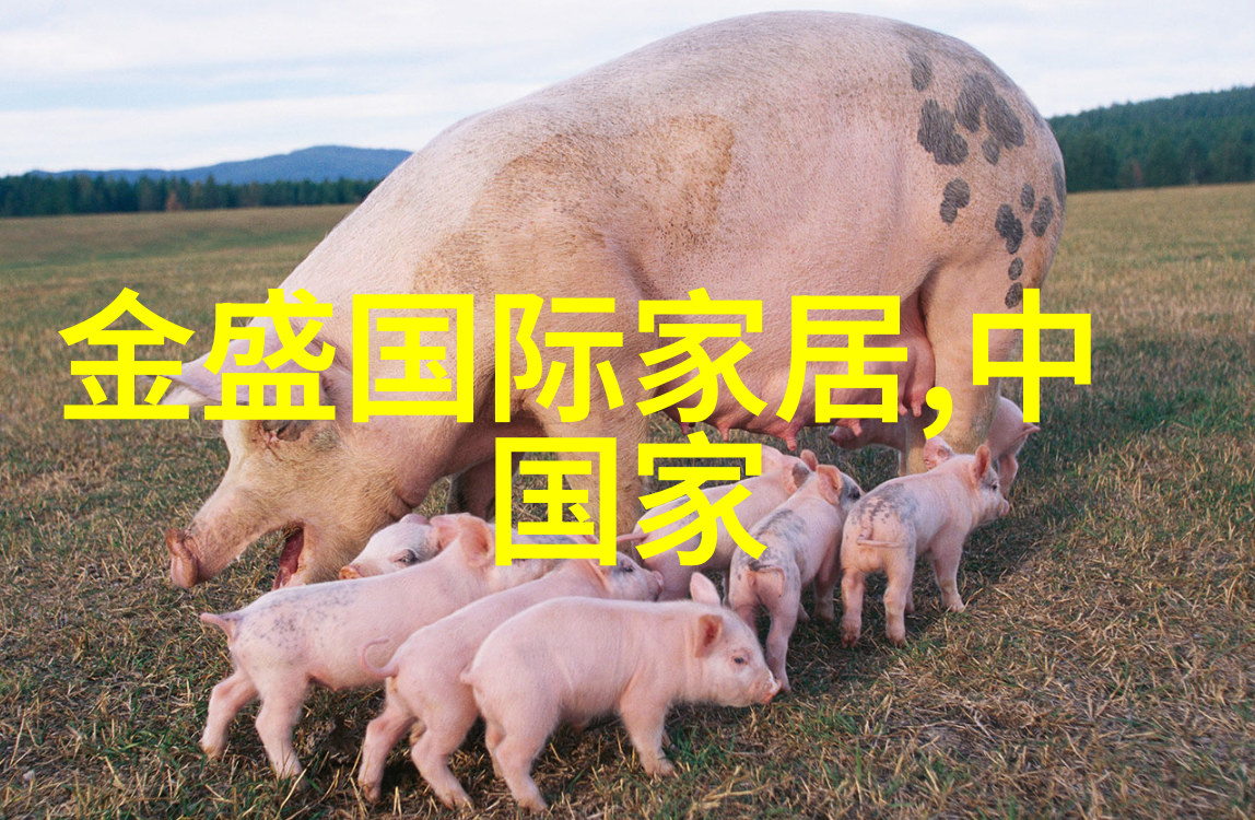 邻里间的婚姻交易家庭关系的新篇章
