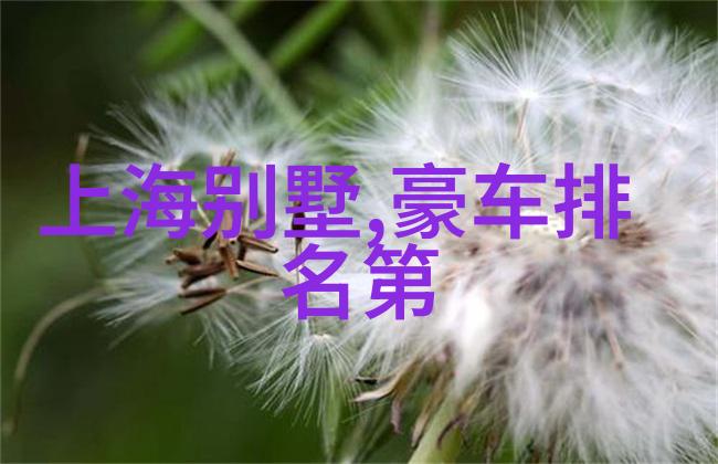 探索岳飞精神肥水之源与一体的文化体验