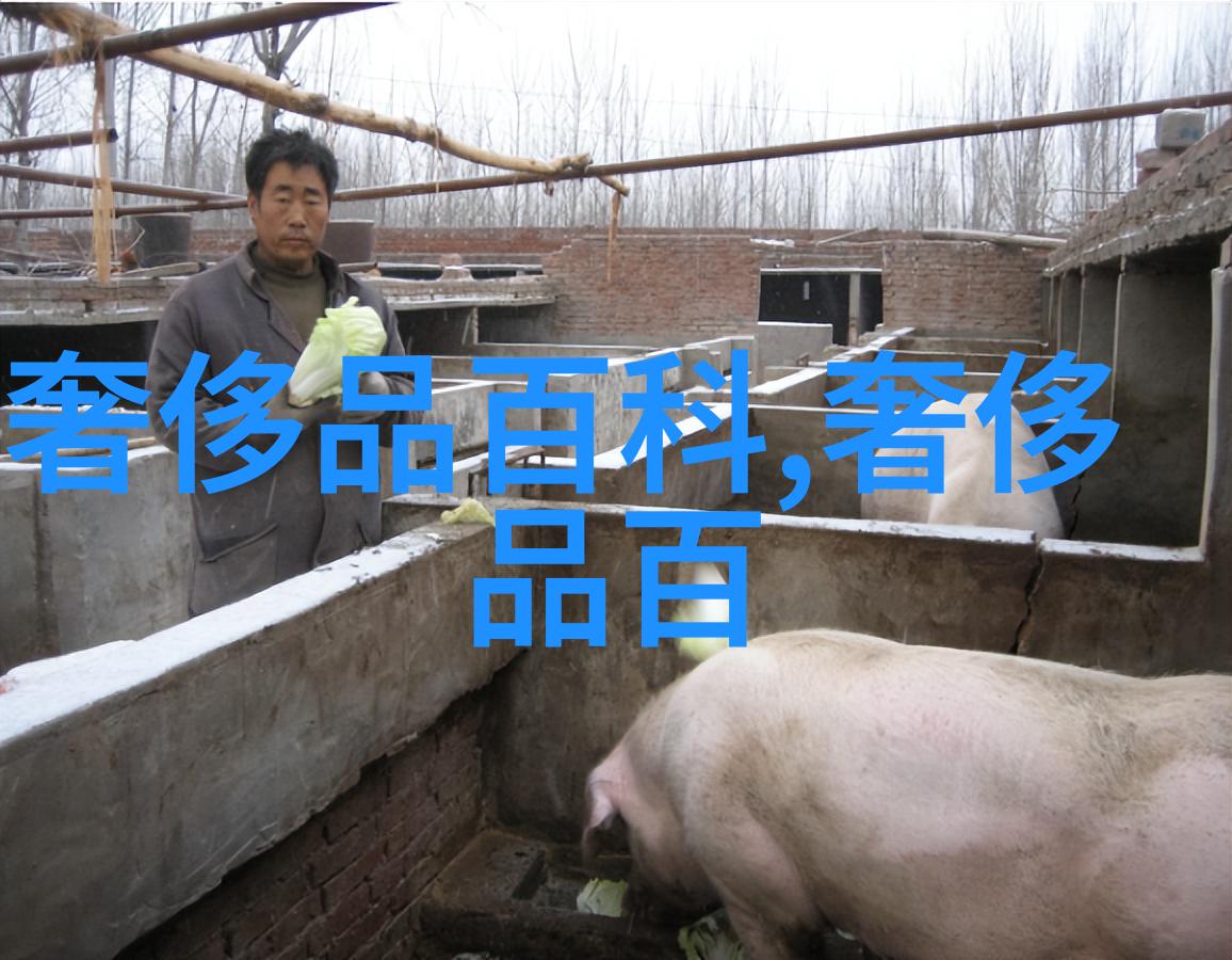 时尚潮流-打造青春风采今年流行减龄短发的艺术
