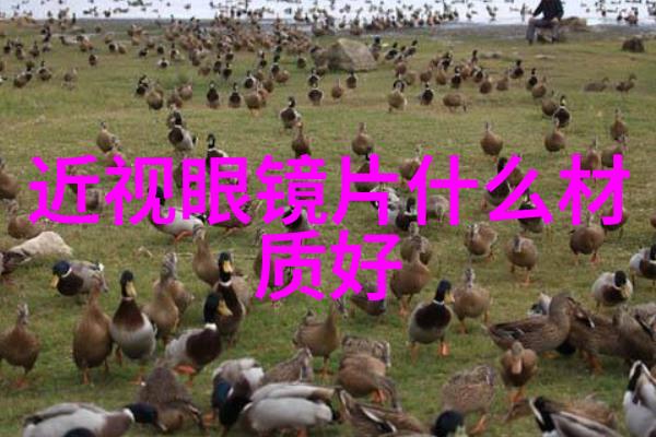 晚秋影院霉霉石头姐引领红毯可怜的东西纽约首映盛宴