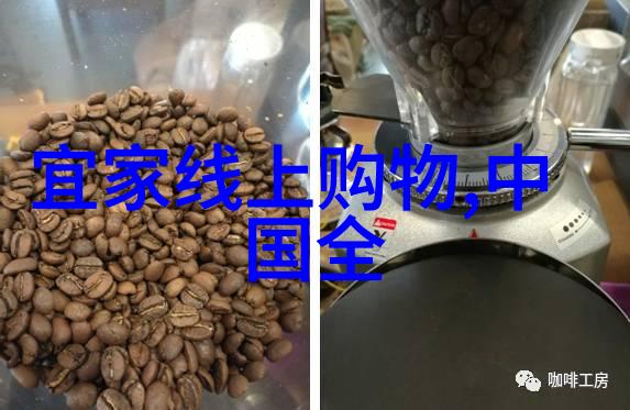 梁上君子智慧的隐逸者与社会的责任感