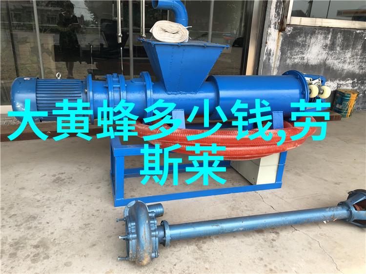 五百个郭靖的江湖奇遇武林中的传奇人物