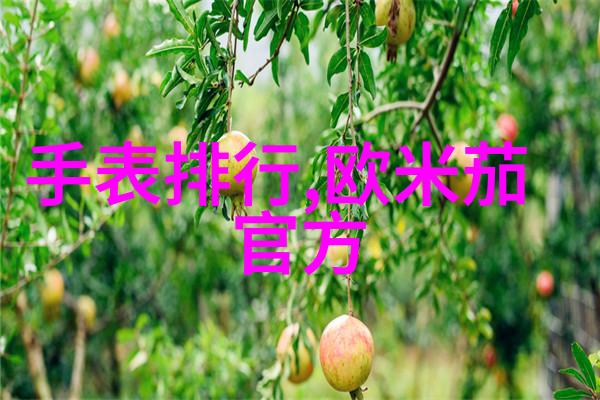 超维空间探索揭秘4D时空的奥秘