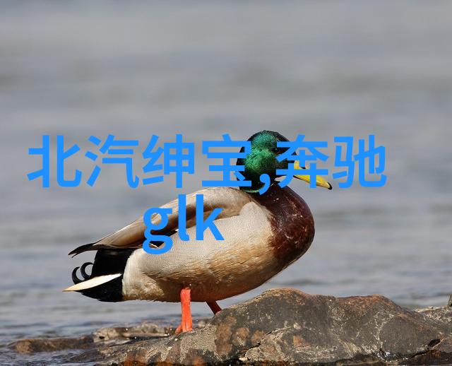 一块板砖闯仙界txt下载我是怎么用一块破板砖闯进仙界的