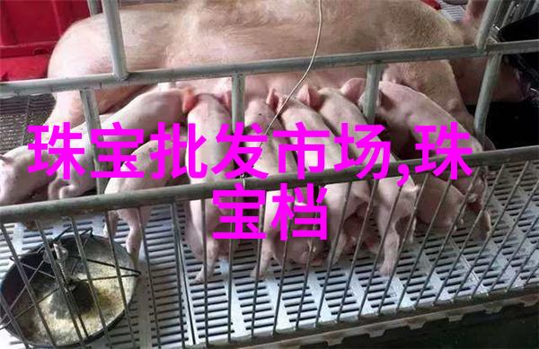 美发学习技巧-快速掌握美发艺术精髓与实战技巧