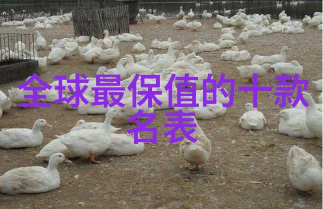 20毫米机炮系统高效精准的空中防御武器