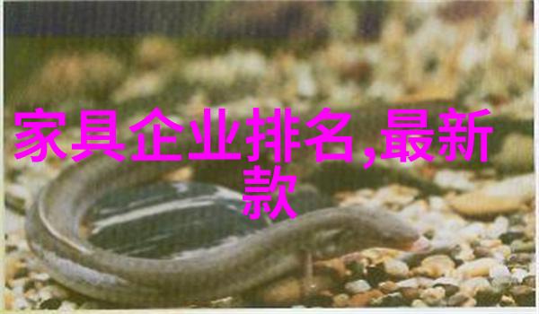 探索美发资源从发丝到造型解锁全方位的 hairstyling 世界