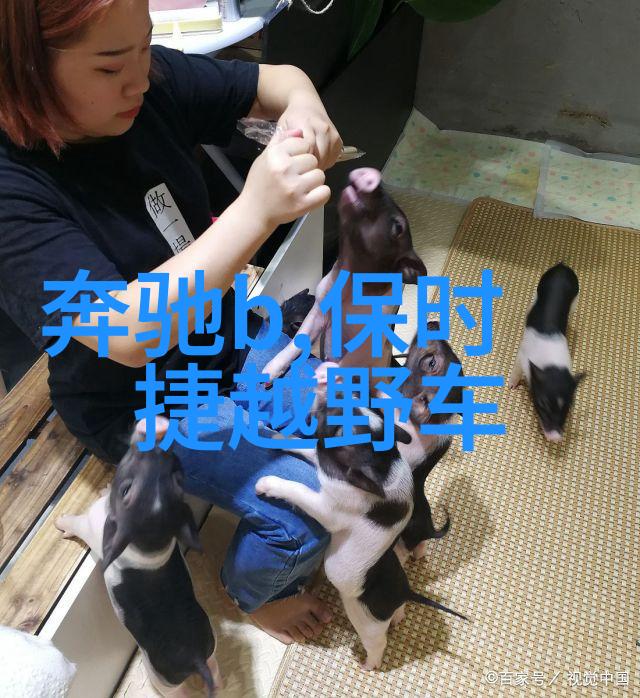 小朋友们的欢乐时光探索幼儿园生活