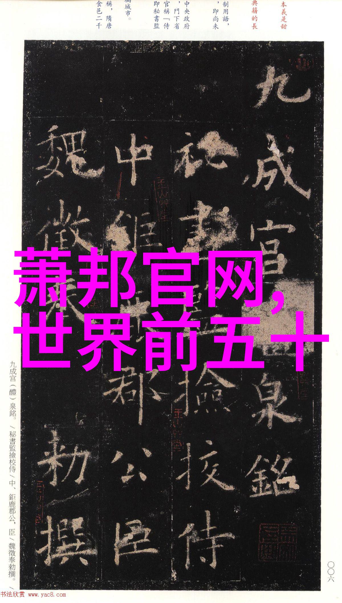 男配的温暖守护我在他的世界里找到了属于我的角落