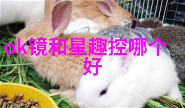 夏日的凉鞋轻盈一跃过炎炎热浪
