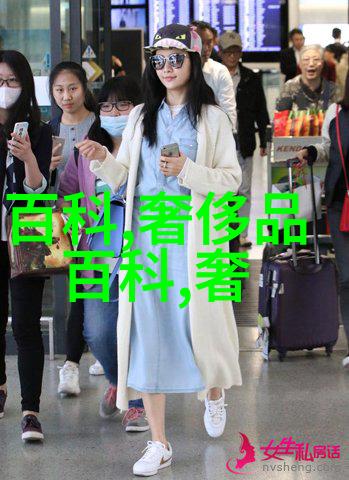 铿锵红颜之风行天下中国偶像团体的魅力与成长