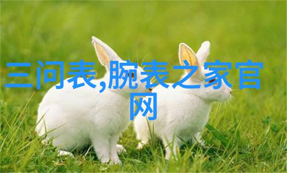 大奉打更人插花弄玉的迷离往事