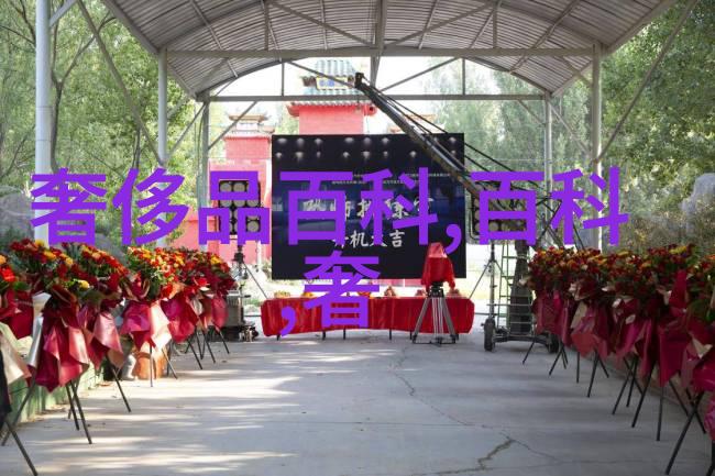 生活点滴我和蒋欣的那些日子从偶遇到深交
